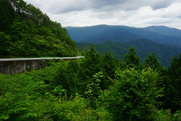 Mountain Road to Shikoku Karst Natural Park, Tengu Highland - 日本 高知県 四国カルスト...