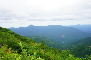 Shikoku Karst Natural Park, Tengu Highland in Kochi, Japan - 日本 高知 四国カルスト 天狗高原	