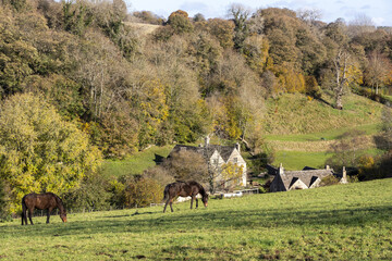 Autumn in the Cotswolds - The Duntisbourne valley between Duntisbourne Abbots and Duntisbourne...