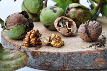 Walnut kernels and whole.
Green unripe walnuts. Green leaves and unripe walnut. Walnut fruits. Raw walnuts in a green shell. Ripe walnut tree nuts.