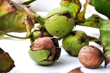 Fresh walnuts with and without shells on a wooden surface. Walnuts, shelled and unshelled.
 Walnut background