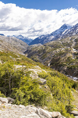 A view in early June on the Canada/USA border beside the Klondike Highway NE of Skagway, Alaska, USA
