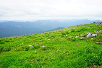 Beautiful Outdoor Green Field View of Shikoku Karst Natural Park in Kochi, Shikoku, Japan - 日本...