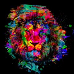 Foto auf Glas lion head illustration © reznik_val