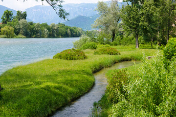 Fototapeta na wymiar A narrow stream flows between tall grasses and wildflowers next to wide, bubbling river