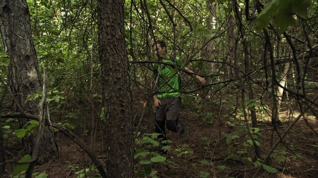 Traveler With A Backpack Walks Through The Forest. Survivalist