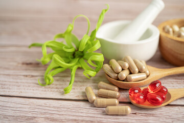Fototapeta na wymiar Alternative medicine nature herbal organic capsule, drug with herbs leaf natural supplements for healthy good life.