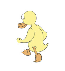 Funny duck walking draw