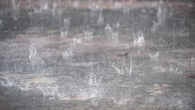Heavy rain droplets hit the cement floor.