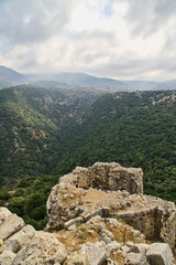 View of foggy green forest on the Golan Heights and sunlight through cloudy sky. From the medieval ruins of a Nimrod Castle's (Nimrod Fortress) tower, Golan Heights, Israel
