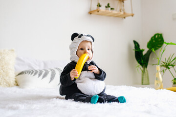 Cute little boy in a bear panda costume sits on the bed in the room. Halloween dressing children in...
