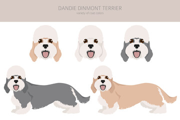 Dandie dinmont terrier clipart. Different poses, coat colors set