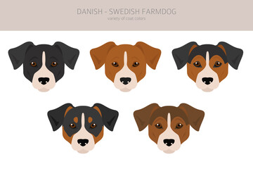 Danish swedish farmdog clipart. Different poses, coat colors set