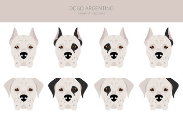 Dogo Argentino clipart. Different poses, coat colors set