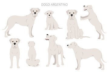 Dogo Argentino clipart. Different poses, coat colors set