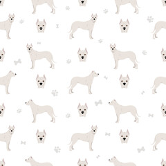 Dogo Argentino seamless pattern. Different poses, coat colors set