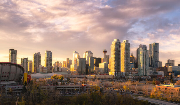 Calgary cityscape lit up at dawn.