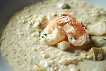 White cream risotto on a plate