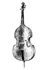 Sketch of classic vintage stringed musical instrument contrabass