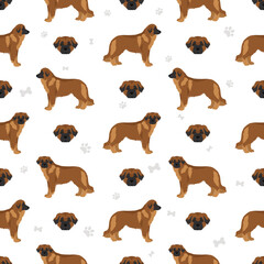 Estrela mountain dog seamless pattern. Different poses, coat colors set