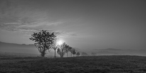 Fototapeta premium Sonnenaufgang in der Sächsischen Schweiz bei Lichtenhain