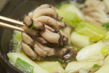 Mushroom Shabu Shabu in a Pot