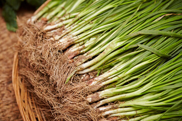 Ingredients for making kimchi, piled vegetables