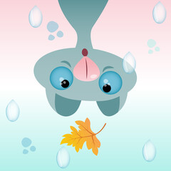 gray cat blue eyes autumn fall rain stickers surprise emotions yellow