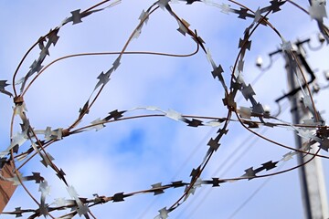 Fototapeta premium The fence is made of barbed wire. Barbed wire, the sky in the clouds. Fencing to protect the territory. Detention in prison.