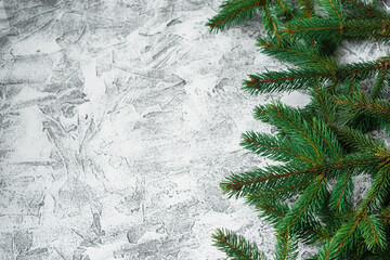 New Year's or Christmas composition of spruce green branches on a bright textural background.