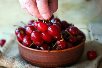 Ripe cherries in hand and in a bowl. 