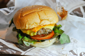 burger or beef burger or hamburger , cheese burger