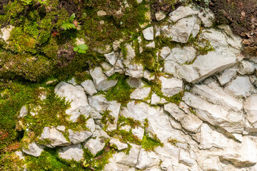 Moss on the rocks shale, natural backgrounds