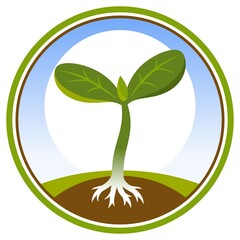 Pictogram with plant sprout with leaves and root in the ground. Vector illustration.

