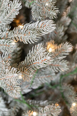 Naklejka na ściany i meble branches of a Christmas tree with garlands