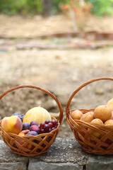 Two baskets full of fresh fruit and vegetable in a garden. Selective focus.