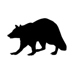 Silhouette of an animal raccoon isolated on a white background.Vector illustration, profile view. - obrazy, fototapety, plakaty