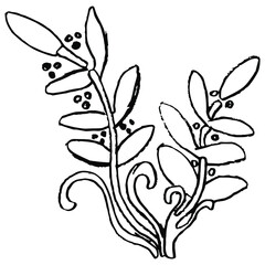 Antique floral motif. Branches with leaves. Black and white silhouette. Hand drawn doodle sketch. © Olena