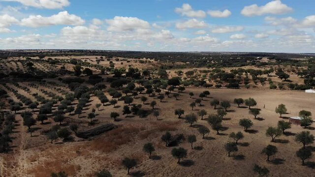 DRONE AERIAL FOOTAGE: View of a typical Alentejo dry landscape located in Portugal. Rural Alentejo landscape in Arronches, Portalegre.  