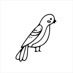 Cute birds in doodle style. Simple decor for a festive Christmas and New Years. Vector illustration isolated on white background.