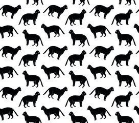 Vector seamless pattern of hand drawn doodle sketch black cat isolated on white background