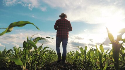 Agribusiness concept. Yong handsome agronomist holds tablet computer in the corn field and examining crops before harvesting. Farmer inspecting corn field and using tablet computer. - Powered by Adobe