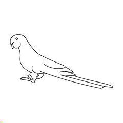 Fototapeta premium Parrot Vector Art Graphics Template For Business And Company