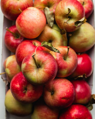 Red ripe juicy apples. Apples as an ingredient for various culinary dishes.