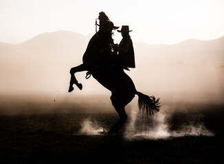 silhouette of a cowboy on horse