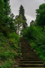 Fototapeta na wymiar Blurred stone steps of a staircase going up among the trees to the cloudy sky on a summer rainy day in the par