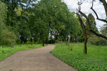 Obraz premium Road through the alley on a cloudy summer day
