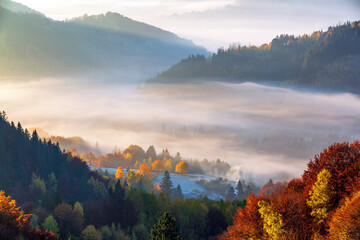 Autumn scenery of village. Orange, yellow fruit trees, green pine, fields, houses and high mountain...