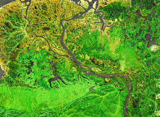 Nature pattern on satellite photo, delta of tropical river. Aerial view. Elements of this image furnished by NASA. - obrazy, fototapety, plakaty