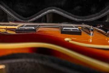 Obraz premium Guitar in case